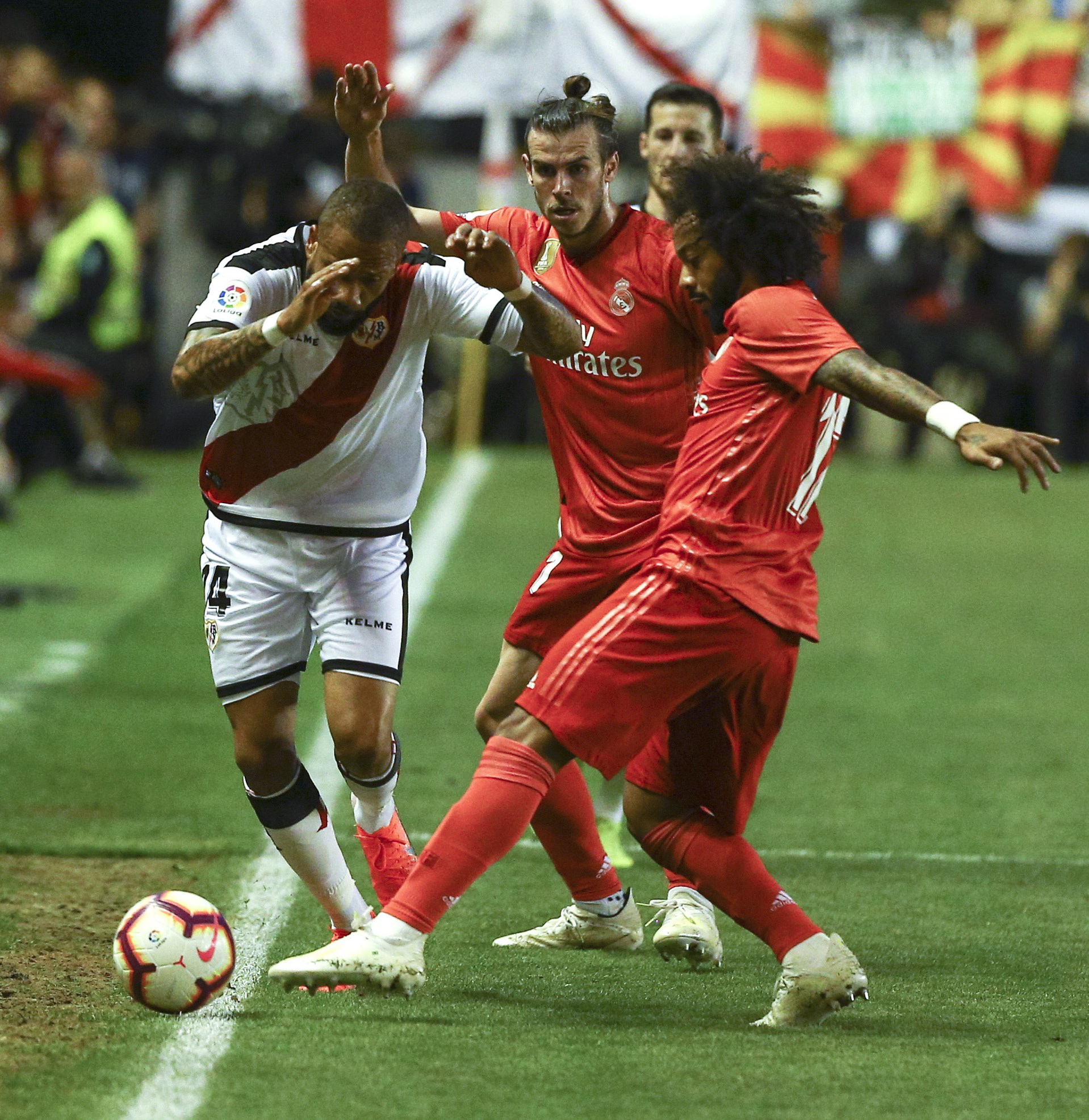 种共同的行 种共同的行